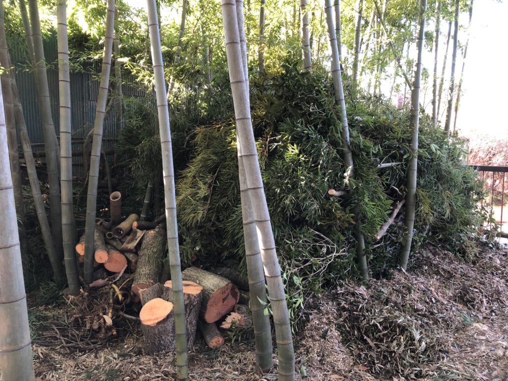 伐採した竹と木の溜まり場02
